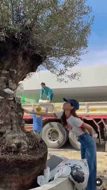 ใบเฟิร์น พิมพ์ชนก