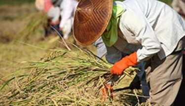 ลงทะเบียนเกษตรกร