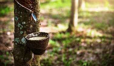 เงินเกษตรกร