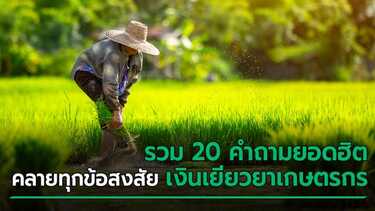 เยียวยาเกษตรกร