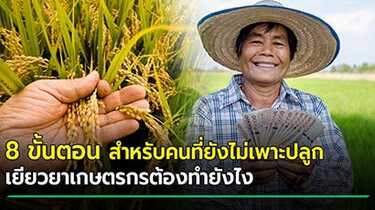 เงินเยียวยาเกษตรกร