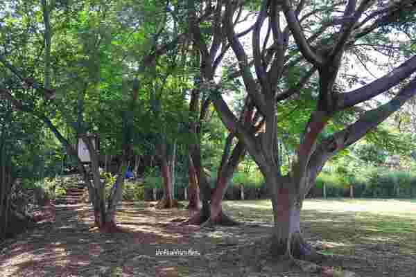 เที่ยวโคราช