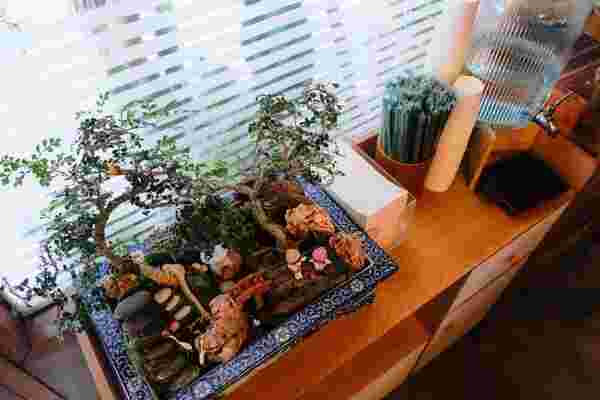 Sensu Tea House and Coffee Bar 