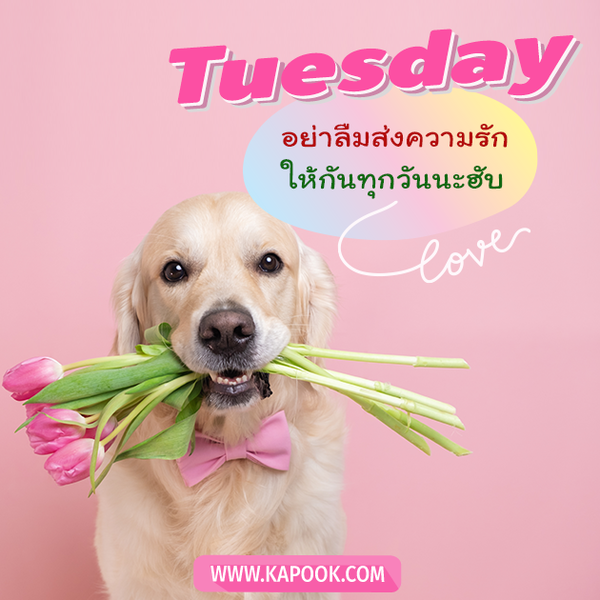 สวัสดีวันอังคาร