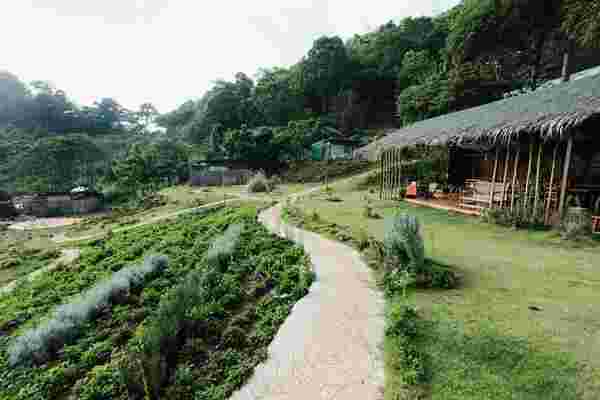 Mori Natural Farm  