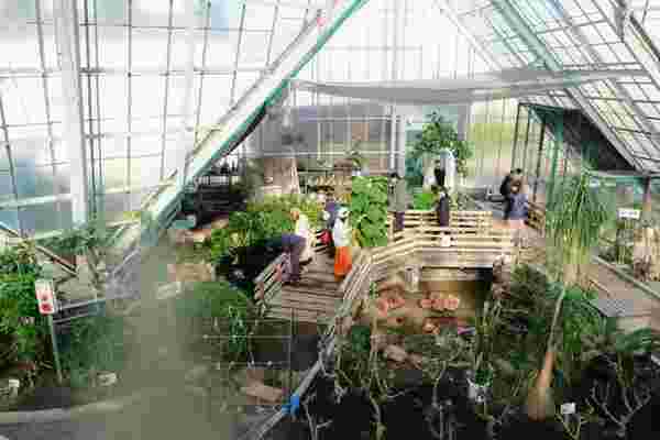 Hakodate Tropical Botanical Garden