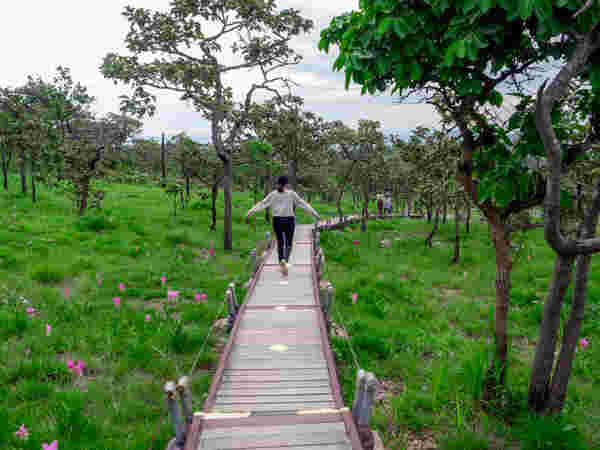 อุทยานแห่งชาติป่าหินงาม 