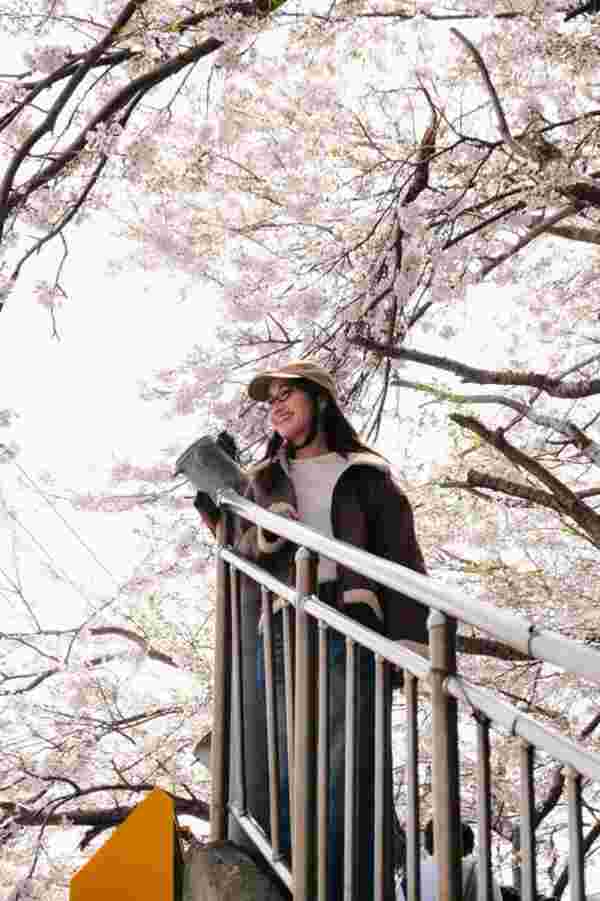 Gamcheon Culture Village