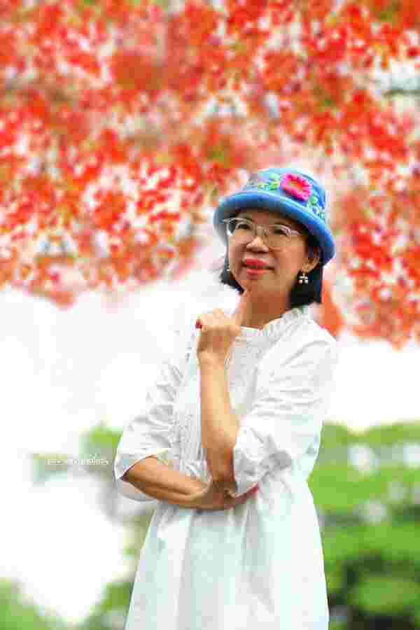 ดอกหางนกยูงบานสะพรั่ง