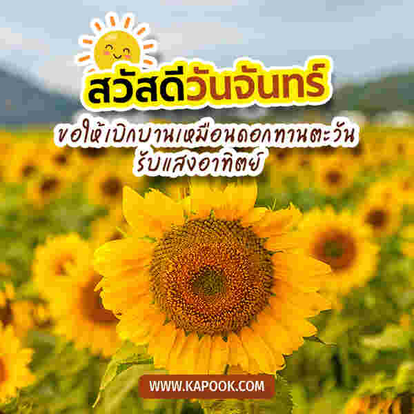สวัสดีวันจันทร์
