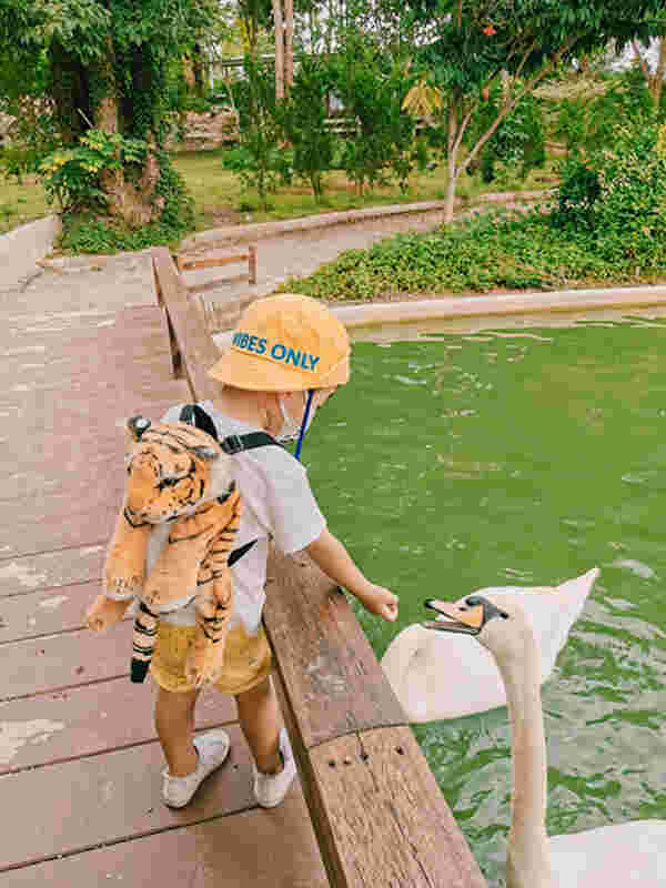 สวนผึ้งไฮแลนด์