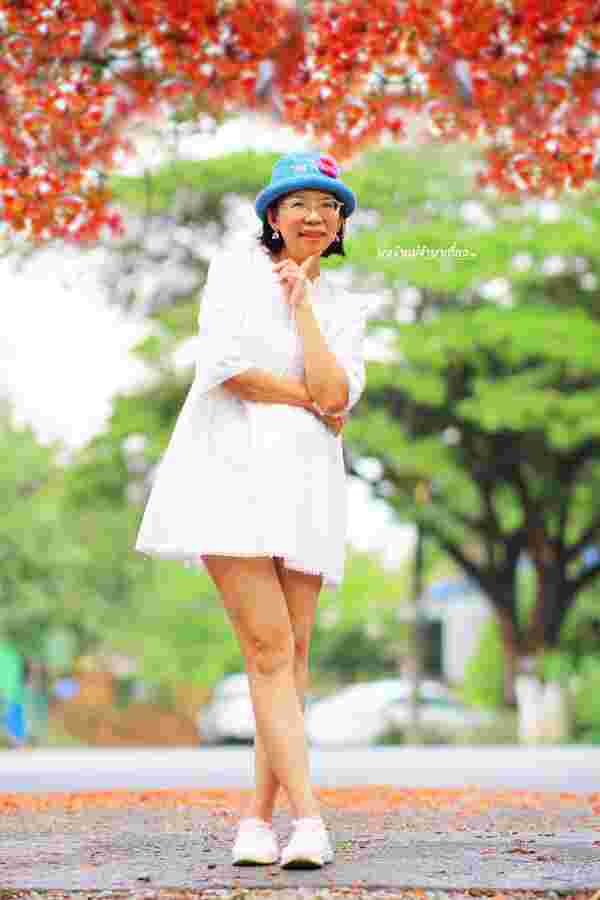 ดอกหางนกยูงบานสะพรั่ง