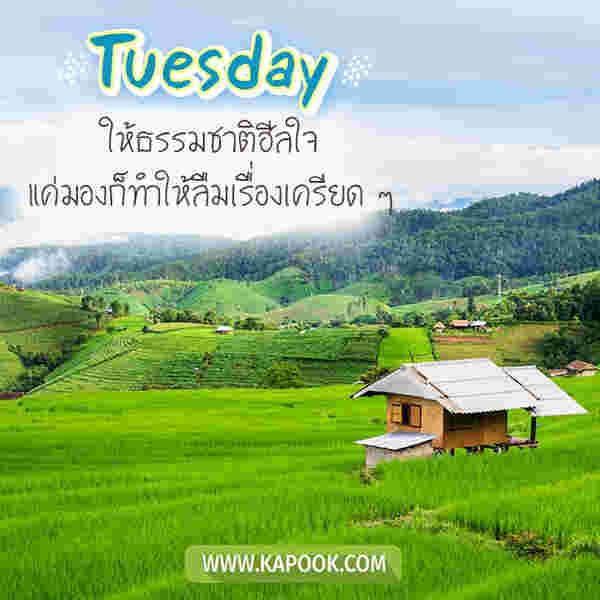 สวัสดีวันอังคาร