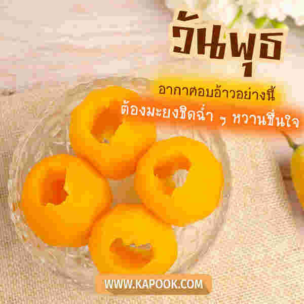 สวัสดีวันพุธ