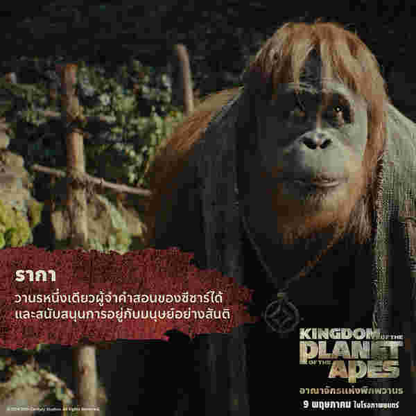 หนัง kingdom of the planet of the apes อาณาจักรแห่งพิภพวานร