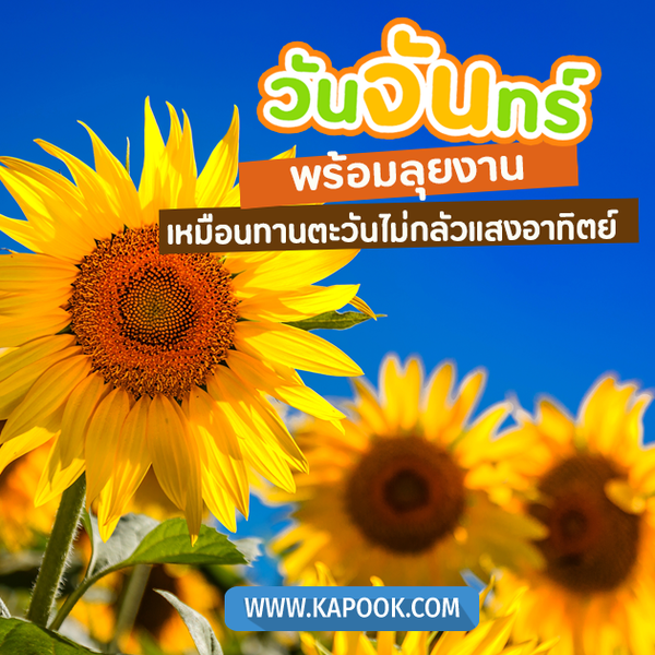 สวัสดีวันจันทร์