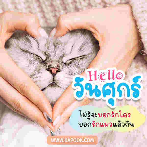 Hello วันศุกร์ ไม่รู้จะบอกรักใคร บอกรักแมวก็แล้วกัน