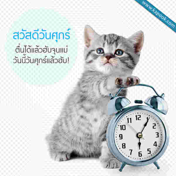 สวัสดีวันศุกร์ ตื่นได้แล้วฮับจุนแม่ วันนี้วันศุกร์แล้วฮับ !