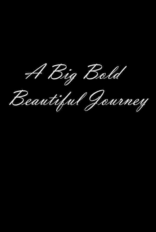 หนังใหม่ 2025 A Big Bold Beautiful Journey