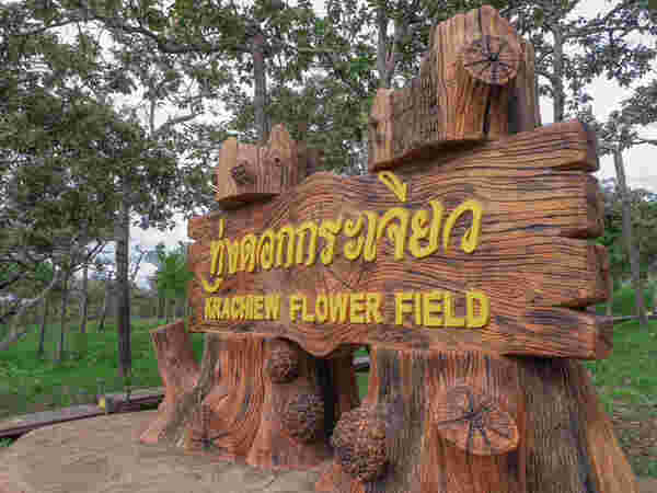 อุทยานแห่งชาติป่าหินงาม  