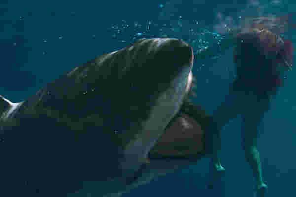 หนัง Shark Bait ฉลามคลั่งซัมเมอร์นรก