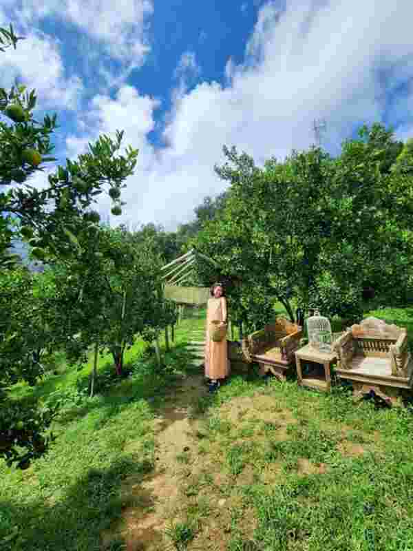 สวนของฉัน My garden  