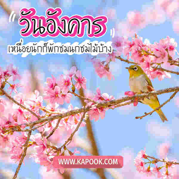 สวัสดีวันอังคาร