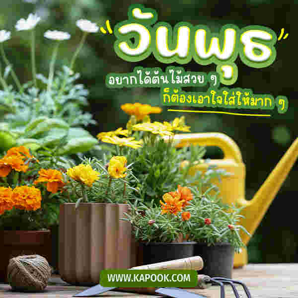 สวัสดีวันพุธ