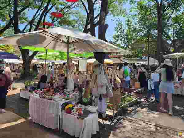 ตลาดจริงใจ เชียงใหม่