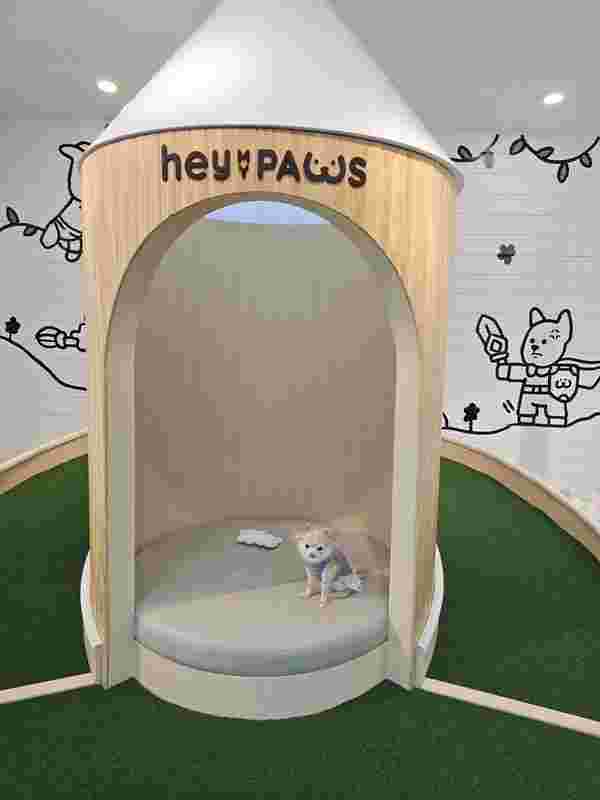 Hey My Paws