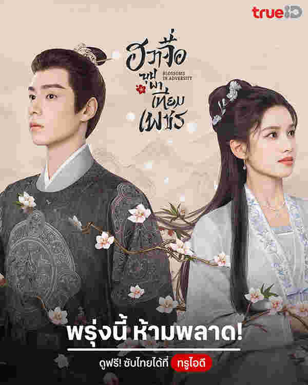 โปสเตอร์ ฮวาจื่อบุปผาเทียมเพชร พระเอกสายโบ้ ซีรีส์จีน 