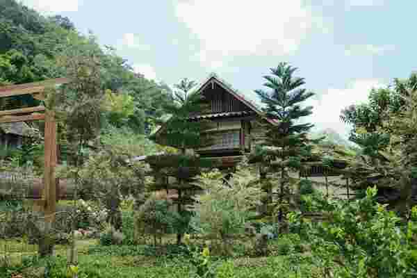 Mori Natural Farm  