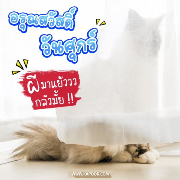 อรุณสวัสดิ์วันศุกร์ ผีมาแย้ววว กลัวมั้ย !!