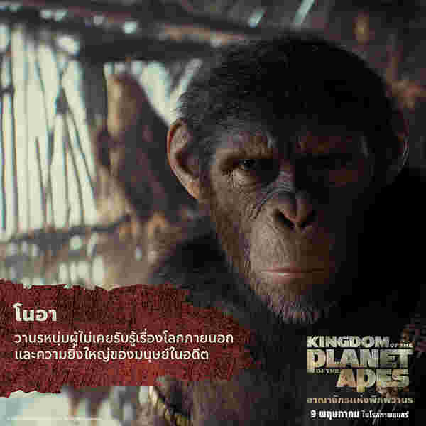 หนัง kingdom of the planet of the apes อาณาจักรแห่งพิภพวานร