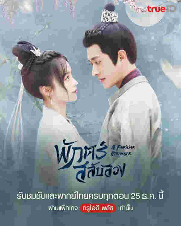 มินิซีรีส์จีนสนุกๆ พักตร์สลับลวง มินิซีรีส์จีนย้อนยุค