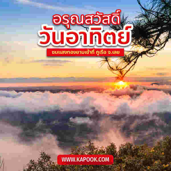 อรุณสวัสดิ์ วันอาทิตย์ ชมแสงทองยามเช้า ที่ภูเรือ จ.เลย