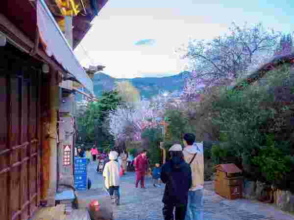 Shangri-La Yunbian View Homestay 