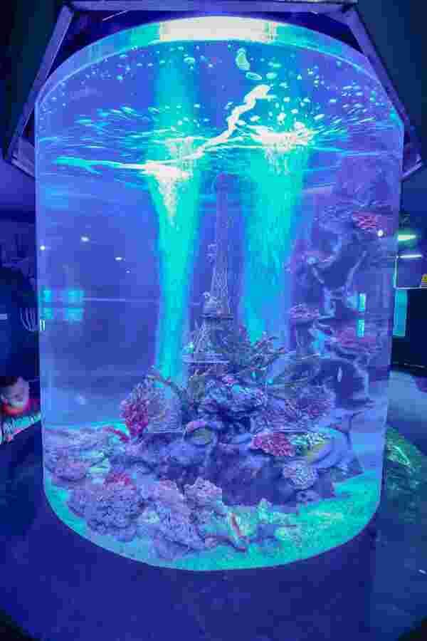 Aquarium สวนสัตว์เชียงใหม่ 