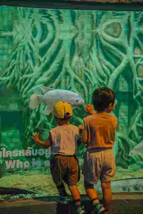 Aquarium สวนสัตว์เชียงใหม่ 