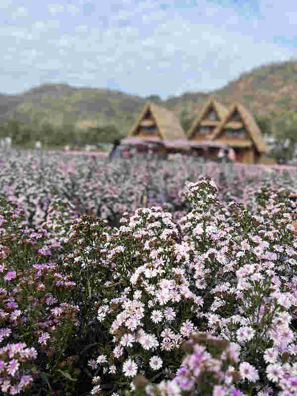 Lacol Khaoyai - A Chatrium Collection  ฮอกไกโด เขาใหญ่