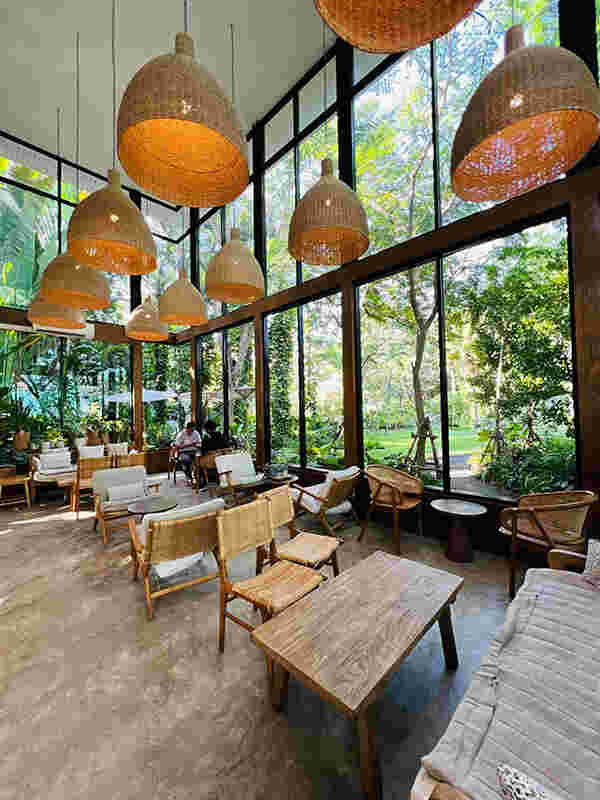 MiVana Organic Forest Coffee บรรยากาศ