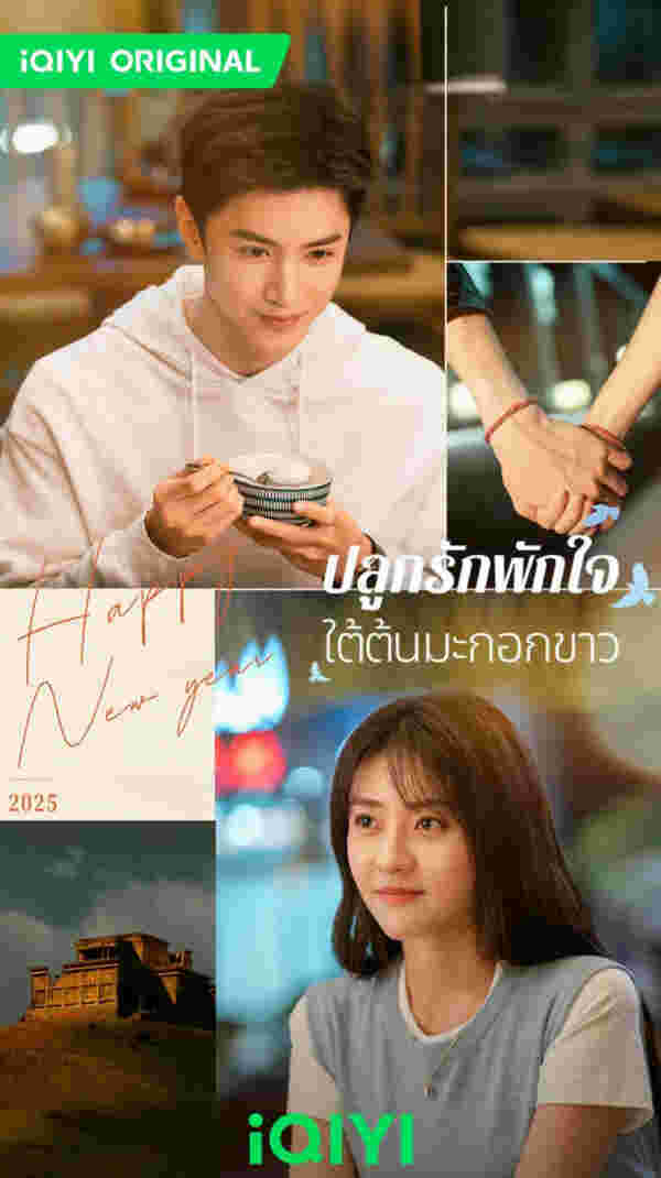 The White Olive Tree ปลูกรักพักใจใต้ต้นมะกอกขาว ซีรีส์จีนรักโรแมนติก 2025