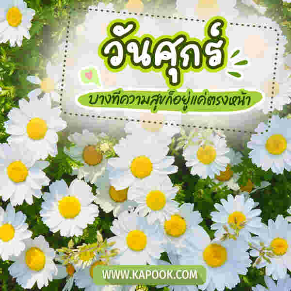 วันศุกร์ บางทีความสุขก็อยู่แค่ตรงหน้า
