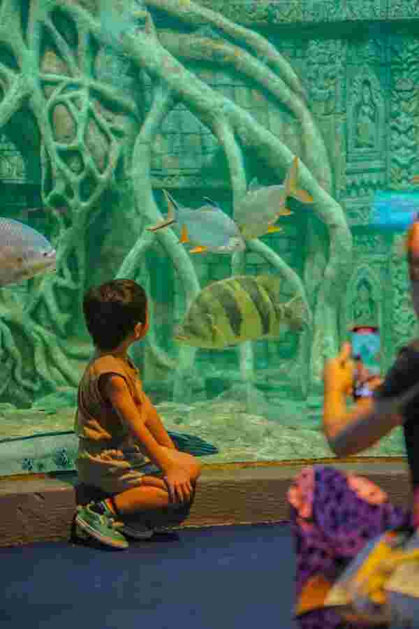 Aquarium สวนสัตว์เชียงใหม่ 