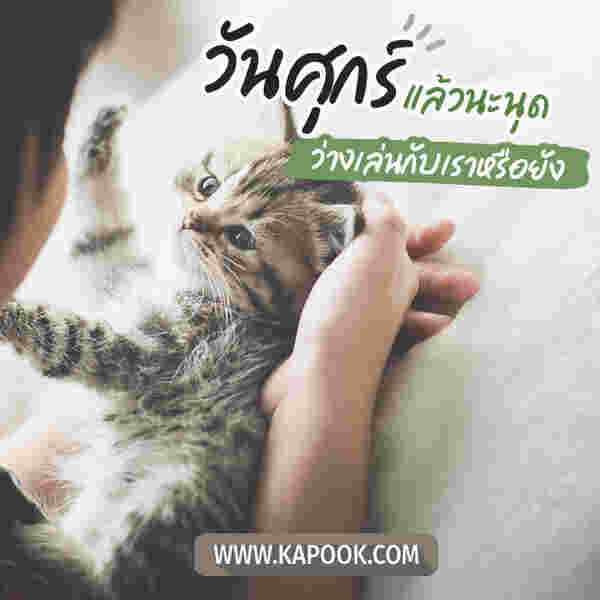 สวัสดีวันศุกร์