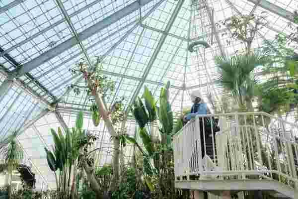 Hakodate Tropical Botanical Garden