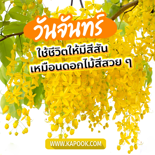 สวัสดีวันจันทร์