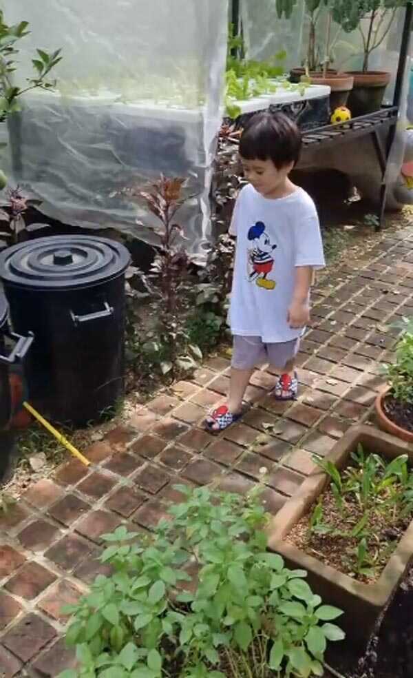 น้องสายฟ้า น้องพายุ