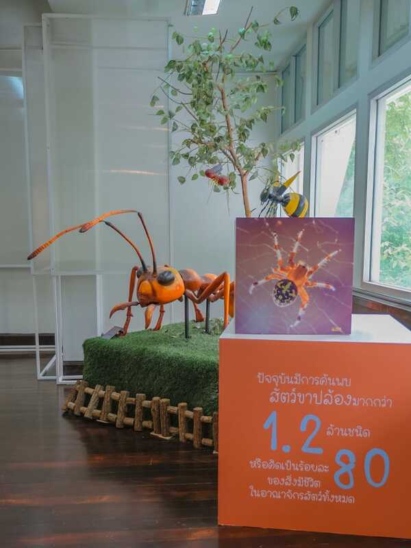 Ant Museum