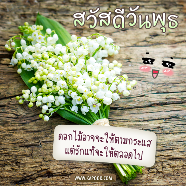 สวัสดีวันพุธ ดอกไม้อาจจะให้ตามกระแส แต่รักแท้จะตลอดไป